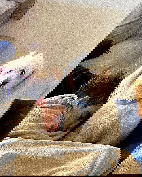 feelbetterinmysweater feelbetterinmysweater archive image