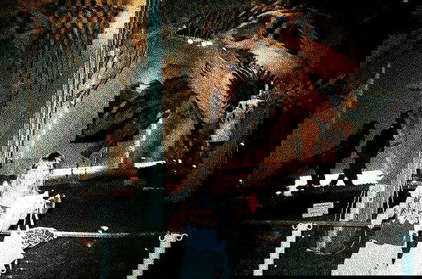 feelbetterinmysweater feelbetterinmysweater archive image