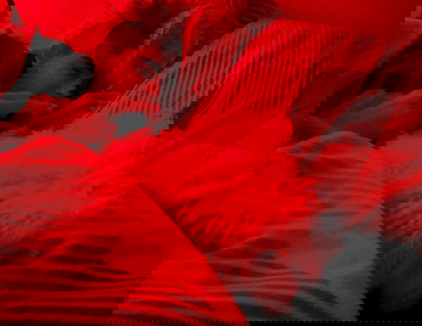 feelbetterinmysweater feelbetterinmysweater archive image