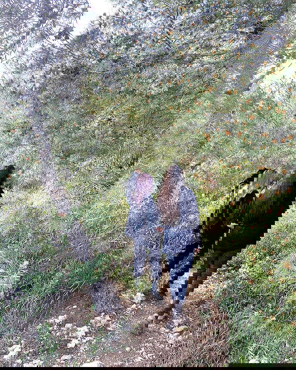 feelbetterinmysweater feelbetterinmysweater archive image