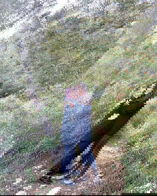 feelbetterinmysweater feelbetterinmysweater archive image