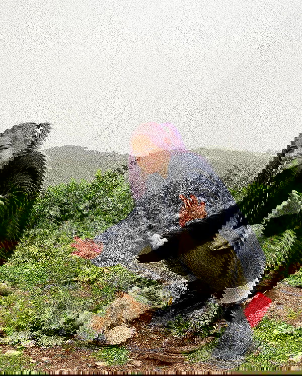 feelbetterinmysweater feelbetterinmysweater archive image