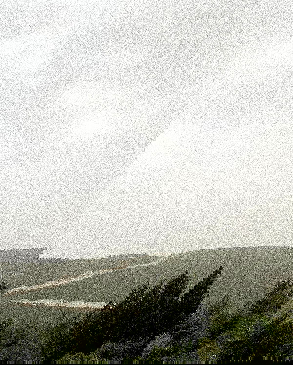 feelbetterinmysweater feelbetterinmysweater archive image