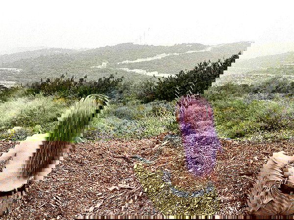 feelbetterinmysweater feelbetterinmysweater archive image