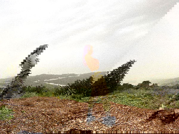 feelbetterinmysweater feelbetterinmysweater archive image