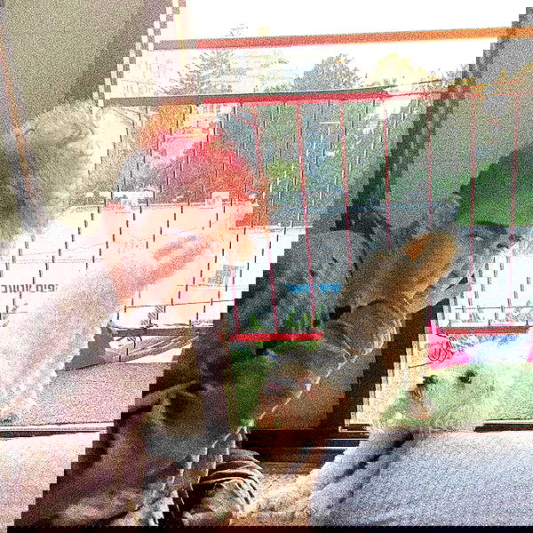 feelbetterinmysweater feelbetterinmysweater archive image