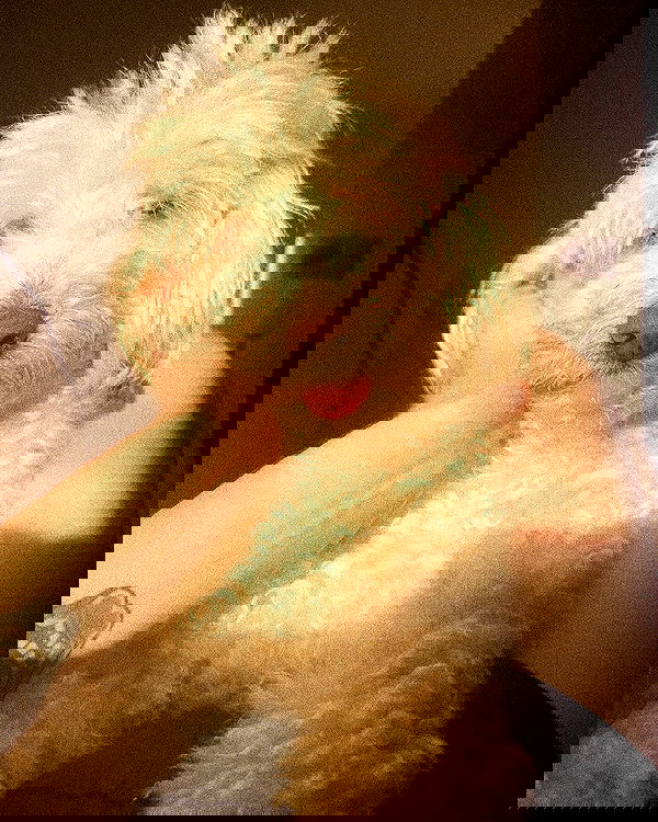 feelbetterinmysweater feelbetterinmysweater archive image