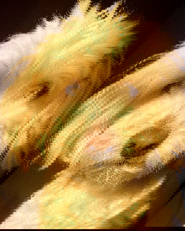 feelbetterinmysweater feelbetterinmysweater archive image