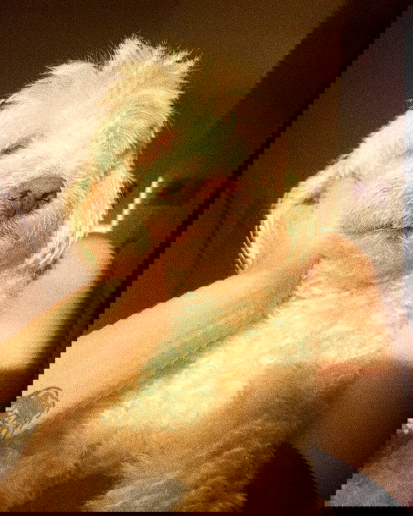 feelbetterinmysweater feelbetterinmysweater archive image