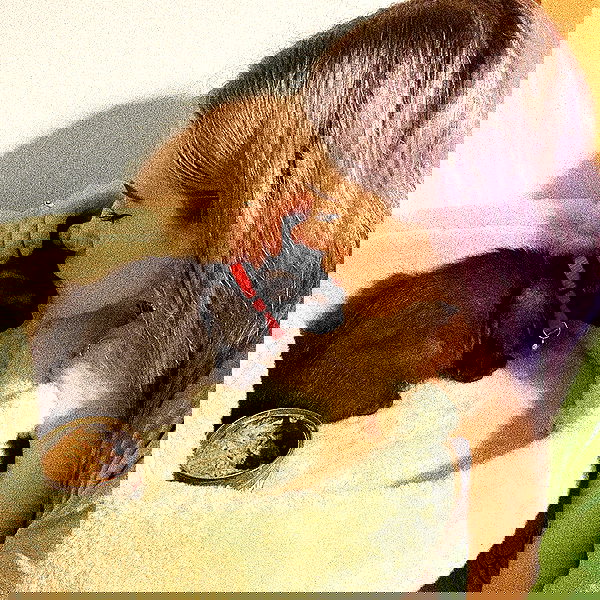 feelbetterinmysweater feelbetterinmysweater archive image