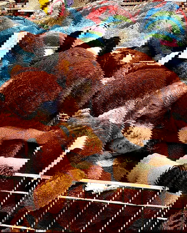 feelbetterinmysweater feelbetterinmysweater archive image