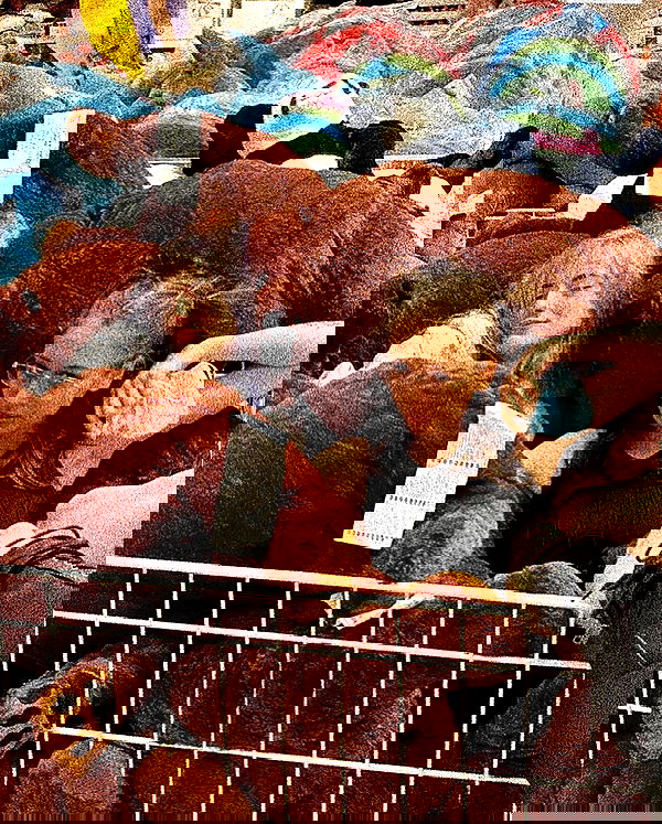 feelbetterinmysweater feelbetterinmysweater archive image