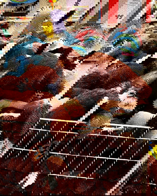 feelbetterinmysweater feelbetterinmysweater archive image