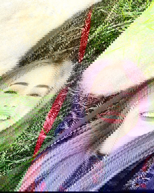 feelbetterinmysweater feelbetterinmysweater archive image