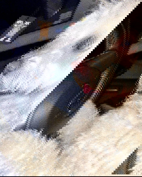 feelbetterinmysweater feelbetterinmysweater archive image