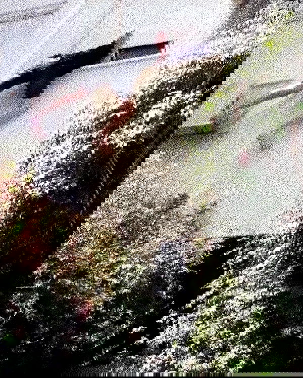 feelbetterinmysweater feelbetterinmysweater archive image