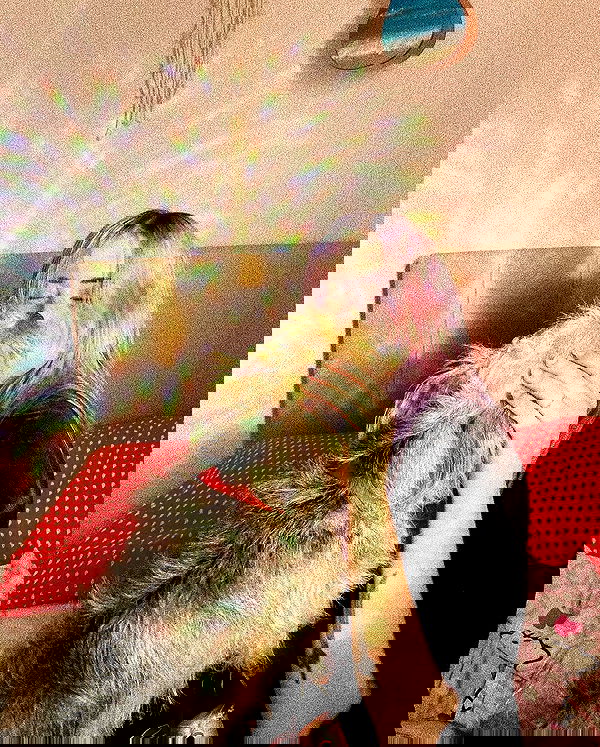 feelbetterinmysweater feelbetterinmysweater archive image