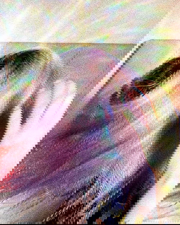 feelbetterinmysweater feelbetterinmysweater archive image