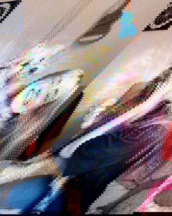 feelbetterinmysweater feelbetterinmysweater archive image