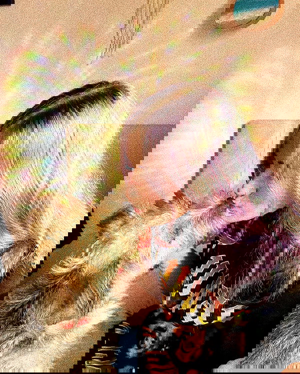 feelbetterinmysweater feelbetterinmysweater archive image