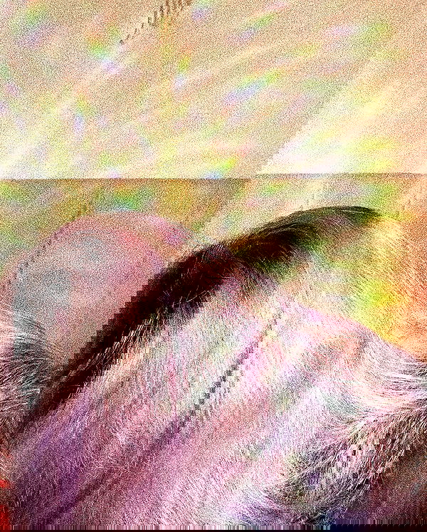 feelbetterinmysweater feelbetterinmysweater archive image