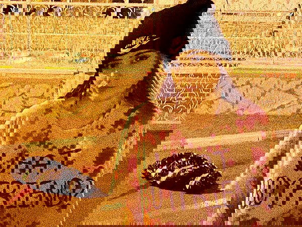 feelbetterinmysweater feelbetterinmysweater archive image