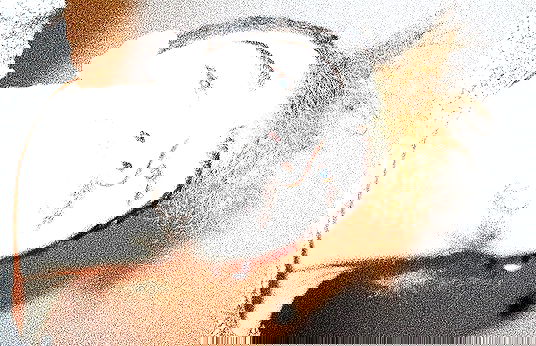 feelbetterinmysweater feelbetterinmysweater archive image