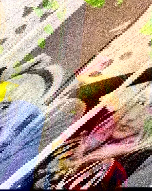 feelbetterinmysweater feelbetterinmysweater archive image