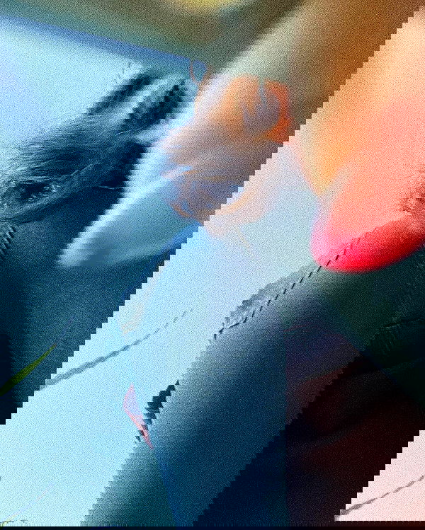 feelbetterinmysweater feelbetterinmysweater archive image