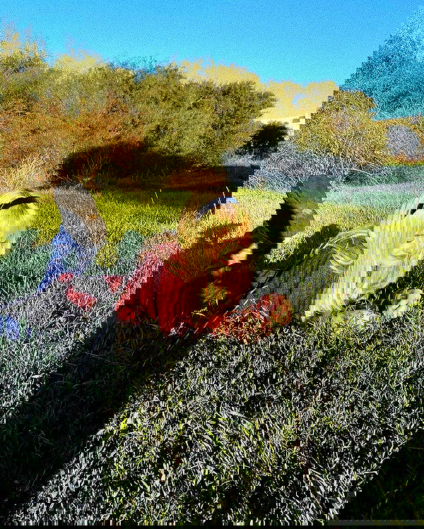 feelbetterinmysweater feelbetterinmysweater archive image