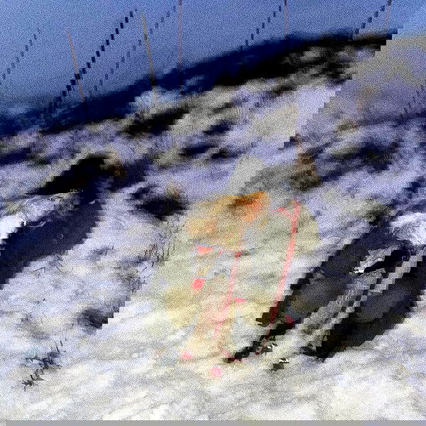 feelbetterinmysweater feelbetterinmysweater archive image