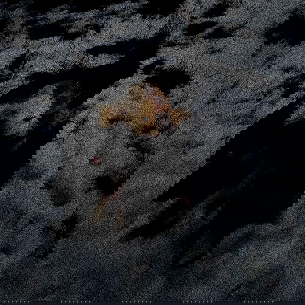 feelbetterinmysweater feelbetterinmysweater archive image