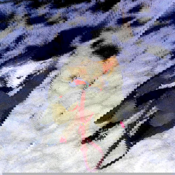 feelbetterinmysweater feelbetterinmysweater archive image