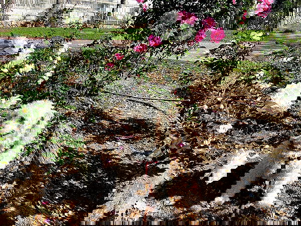 feelbetterinmysweater feelbetterinmysweater archive image