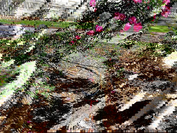 feelbetterinmysweater feelbetterinmysweater archive image