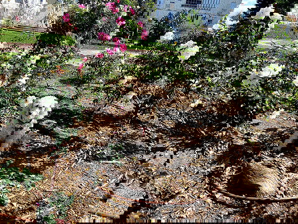 feelbetterinmysweater feelbetterinmysweater archive image