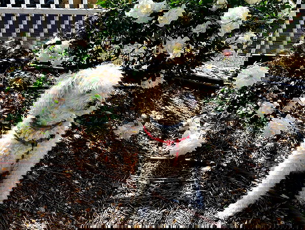 feelbetterinmysweater feelbetterinmysweater archive image