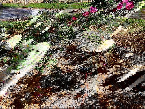 feelbetterinmysweater feelbetterinmysweater archive image