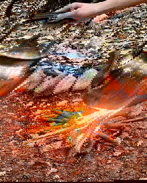 feelbetterinmysweater feelbetterinmysweater archive image