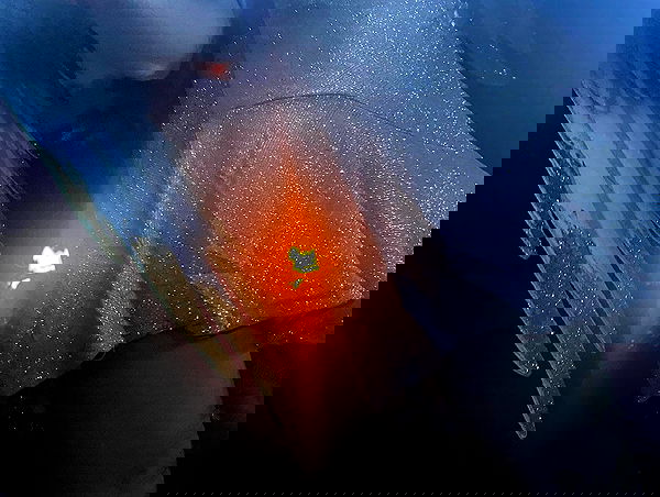 feelbetterinmysweater feelbetterinmysweater archive image