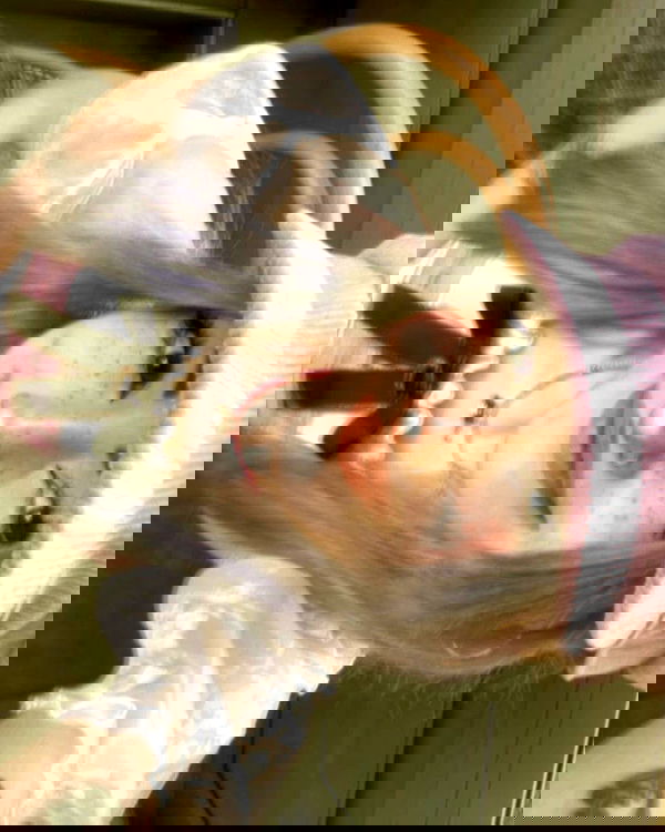 feelbetterinmysweater feelbetterinmysweater archive image