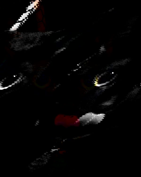 feelbetterinmysweater feelbetterinmysweater archive image