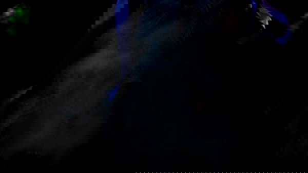 feelbetterinmysweater feelbetterinmysweater archive image