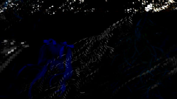 feelbetterinmysweater feelbetterinmysweater archive image