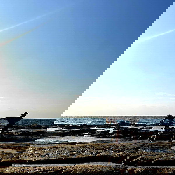 feelbetterinmysweater feelbetterinmysweater archive image