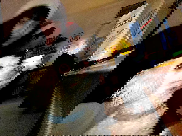 feelbetterinmysweater feelbetterinmysweater archive image