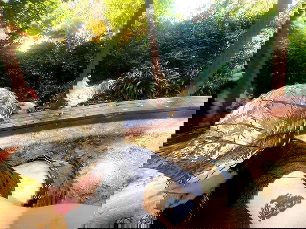 feelbetterinmysweater feelbetterinmysweater archive image