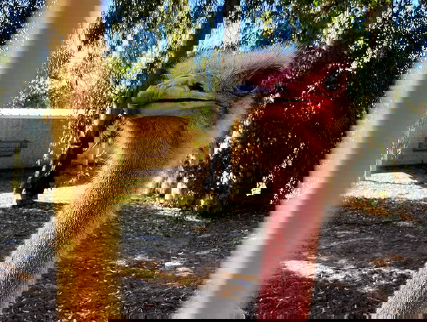 feelbetterinmysweater feelbetterinmysweater archive image