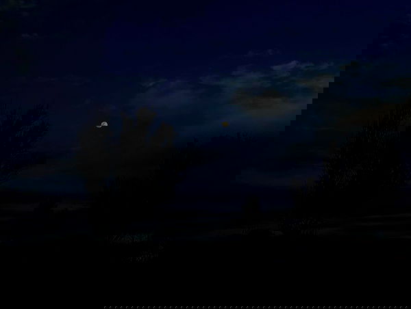 feelbetterinmysweater feelbetterinmysweater archive image