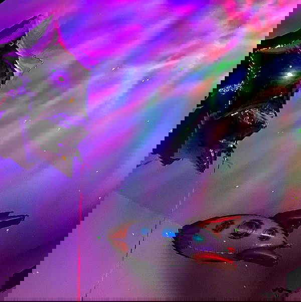 feelbetterinmysweater feelbetterinmysweater archive image